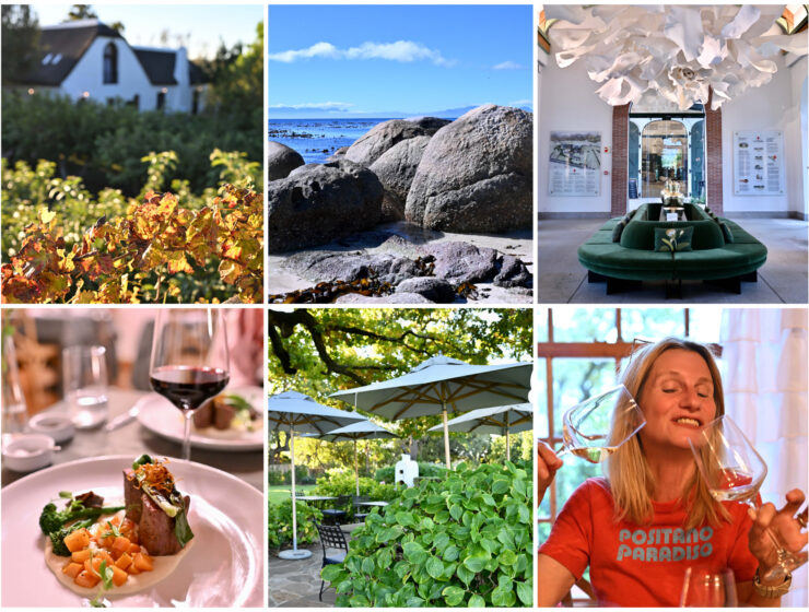 South Africa Part 3: Wine, Art & More